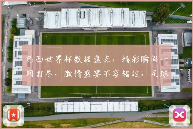 巴西世界杯数据盘点，精彩瞬间一网打尽，激情盛宴不容错过，足球迷必看