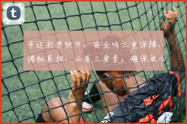 辛运彩票软件，安全吗三重保障，揭秘真相，必看三要素，确保放心投注