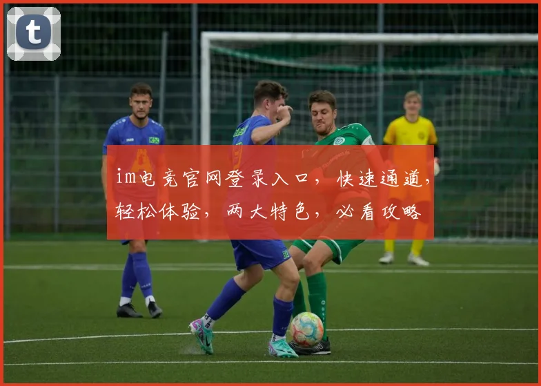 im电竞官网登录入口，快速通道，轻松体验，两大特色，必看攻略