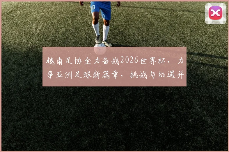 越南足协全力备战2026世界杯，力争亚洲足球新篇章，挑战与机遇并存
